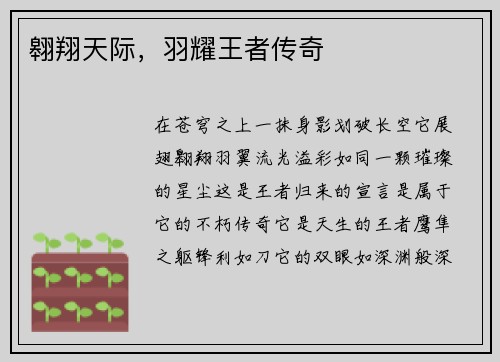 翱翔天际，羽耀王者传奇